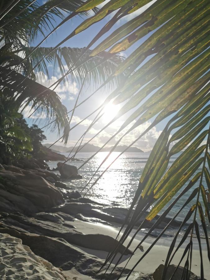 Chez Marva Grande Villa Coco 3 A 12 Personnes La Digue Kültér fotó